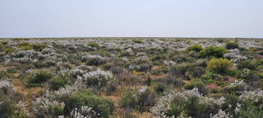 3 Bedroom Property for Sale in Nieuwoudtville Northern Cape